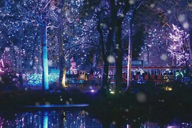 Denver Zoo Lights - ImageAV - Special Event Audio Visual - ImageAV