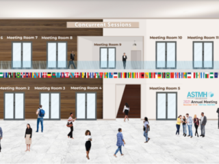 Virtual Meeting Platform – Denver, CO – Concurrent Virtual Meeting Rooms – ImageAV